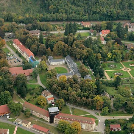 La Datcha Du Parc Husseren-Wesserling Eksteriør bilde